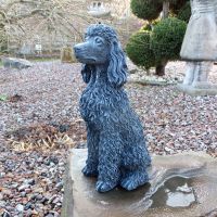 Steinfigur Hund Pudel Zwergpudel Nordrhein-Westfalen - Korschenbroich Vorschau