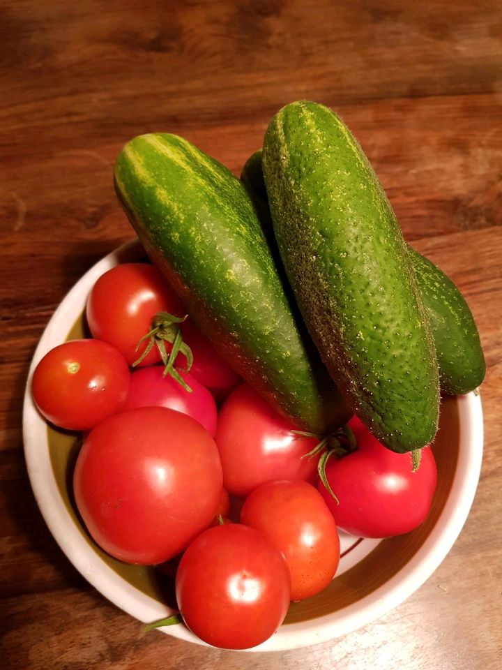 Bio Tomaten in Berne