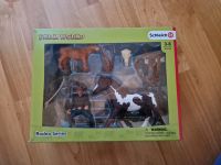 Schleich Farm World 41418 Team Roping mit Cowboy Baden-Württemberg - Wilhelmsdorf Vorschau