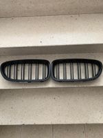 Original BMW F10 F11 Front Grill Rheinland-Pfalz - Sohren Hunsrück Vorschau