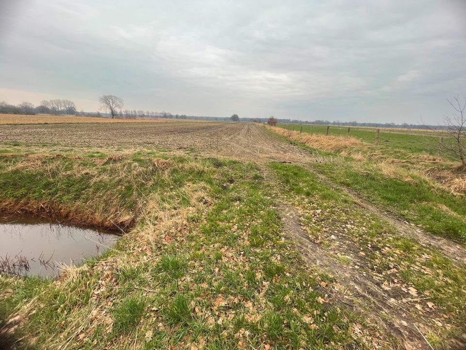 Landwirtschafts- und Waldfläche in Burgwedel