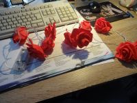 Lichterkette rote Rosen,weiches gelbes Licht,neu Düsseldorf - Eller Vorschau