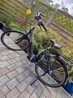 E-Bike Gazelle Arroyo C8 HMS Graphit/blue Niedersachsen - Dörpen Vorschau