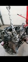 MOTOR KOMPLETT CJC CJCA AUDI SEAT VW 2.0TDI Nordrhein-Westfalen - Ratingen Vorschau