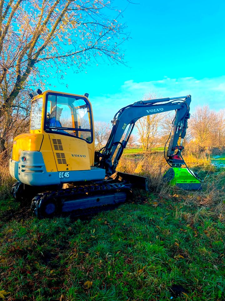 Mietgerät Minibagger Mulcher Landschaftspflege in Teterow