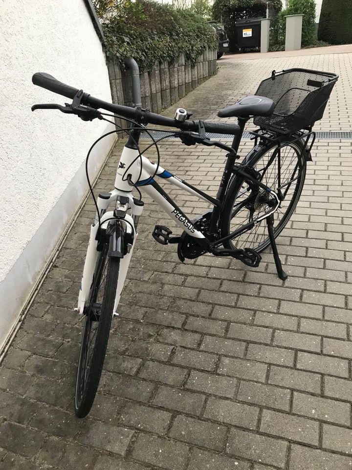 Damenfahrrad Pegasus 28 Zoll in Glauchau