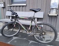Fahrrad Nicobike mit Dynamo und Beluchtung Reifen 26" Baden-Württemberg - Neckartailfingen Vorschau