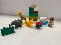 Lego duplo Zoo Tierbabys Nordrhein-Westfalen - Essen-Haarzopf Vorschau