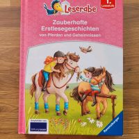 Ponybuch Geschichten Sachsen-Anhalt - Magdeburg Vorschau