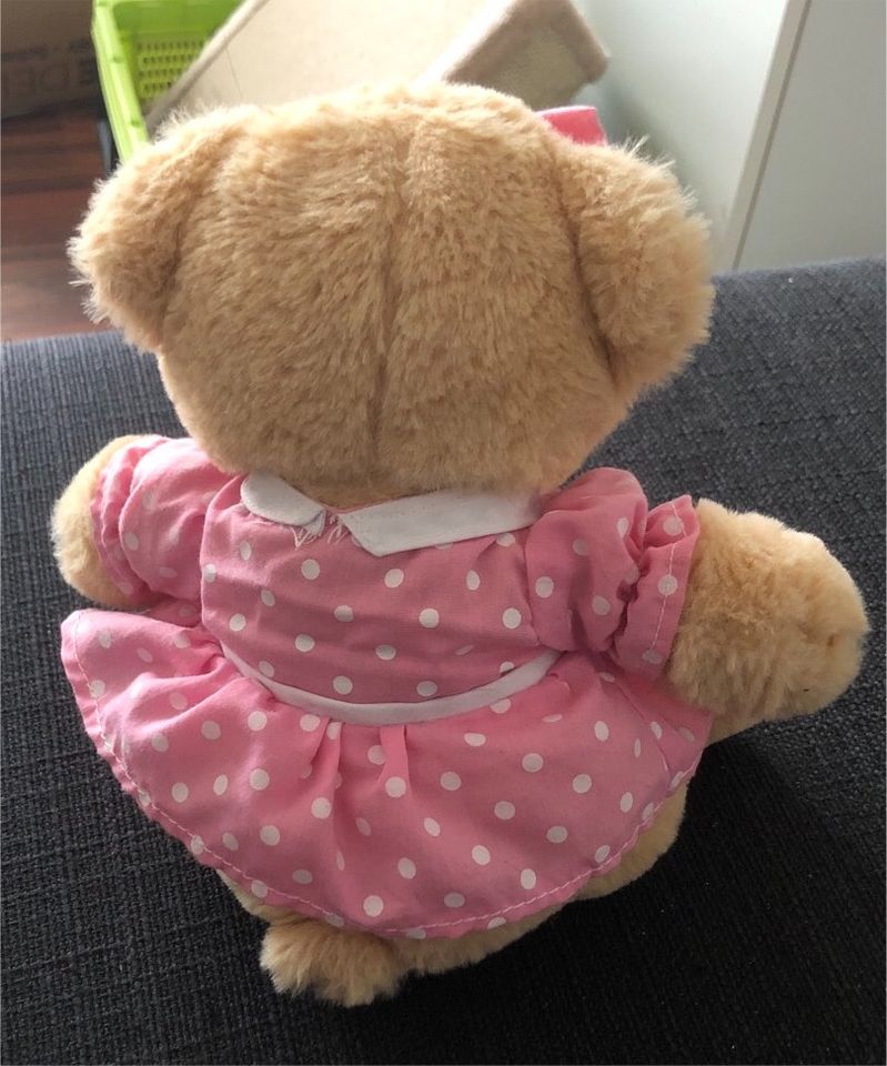 Teddybär mit süßes Kleid in Nordenham