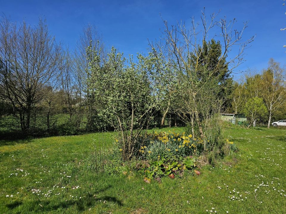 Großes Gartengrundstück / Freizeitgrundstück in Pforzheim