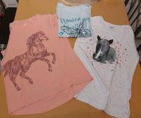 T-Shirt Set Gr. 134/140 Sachsen-Anhalt - Zeitz Vorschau