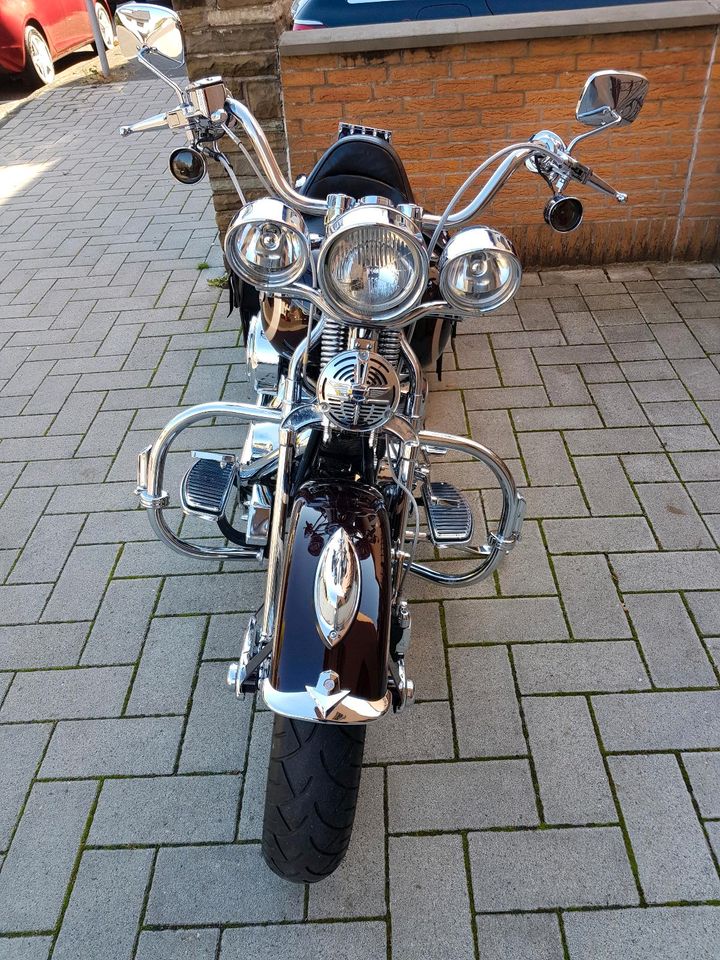 Harley Davidson Springer in Köln