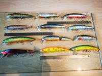 Wobbler Hardbait Set 10-14cm Saarland - Schmelz Vorschau