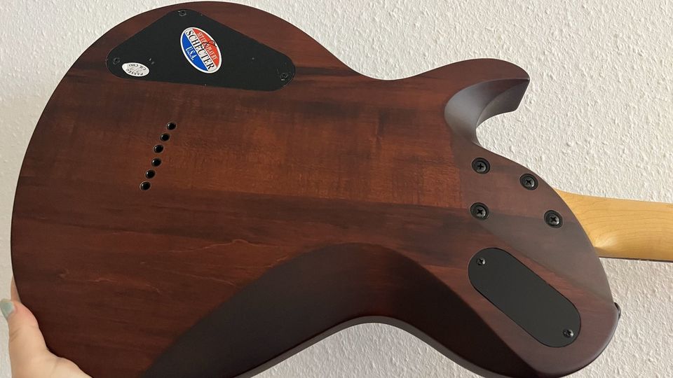 Schecter Omen Solo 6 Walnut SingleCut/Les Paul-Form E-Gitarre in Freiburg im Breisgau