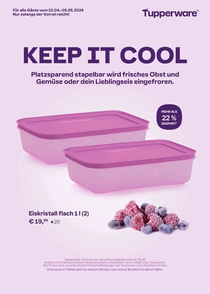 Tupperware Eiskristall flach 1,0l Set (2), Neu in Sohren Hunsrück