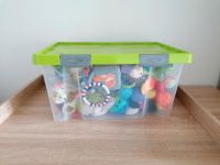 Kiste mit verschiedenen Babyspielzeug Thüringen - Ilmtal-Weinstraße Vorschau