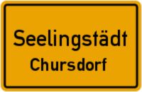 Chursdorf, großes Bauland mit viel Gartenland Thüringen - Seelingstädt Vorschau