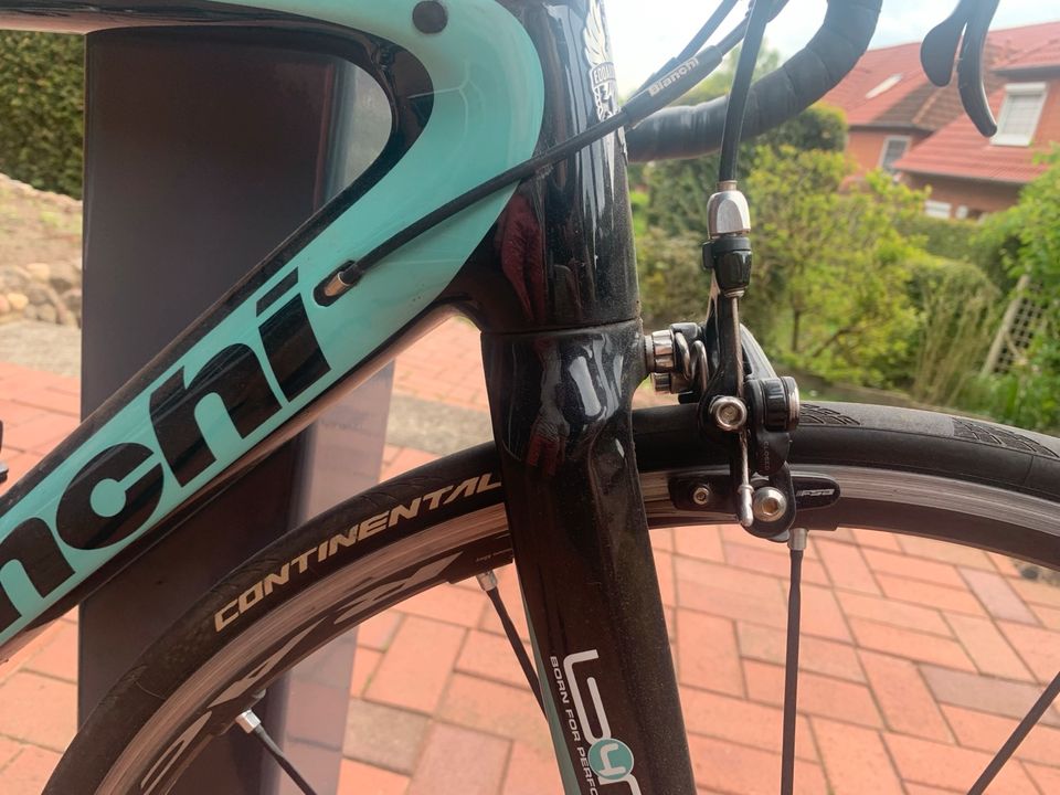 Rennrad Bianchi Carbon sempre pro in Hamburg