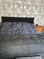 Boxspringbett grau Hessen - Kassel Vorschau