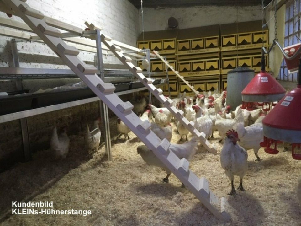 KLEINs Hühnerstange Gestell160x80x100 Kotwanne Hühnerstall Hühner