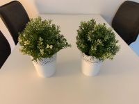 Ikea Fake Topfpflanzen mit Topf 2x Essen-West - Holsterhausen Vorschau