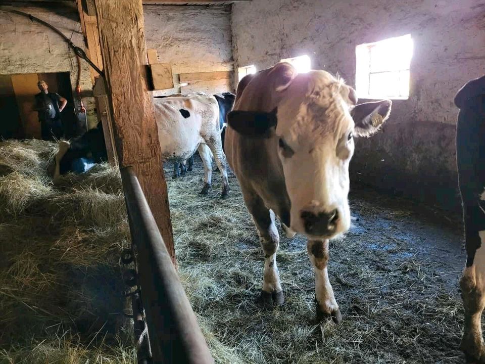 2 gegenüberliegende Höfe Dorfrand in MV arrondierte 3ha, Bauland in Berlin