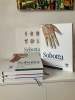 Sobotta Atlas der Anatomie des Menschen  23. Auflage 2010 Nordfriesland - Pellworm Vorschau