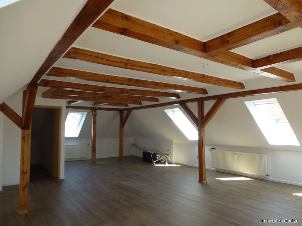 Wunderschönes Loft mit Dachterrasse im westlichen Ringgebiet von BS in Braunschweig