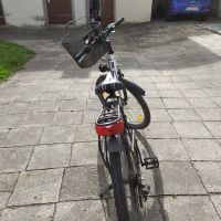 24er Fahrrad Kalkhoff Sachsen - Radeburg Vorschau