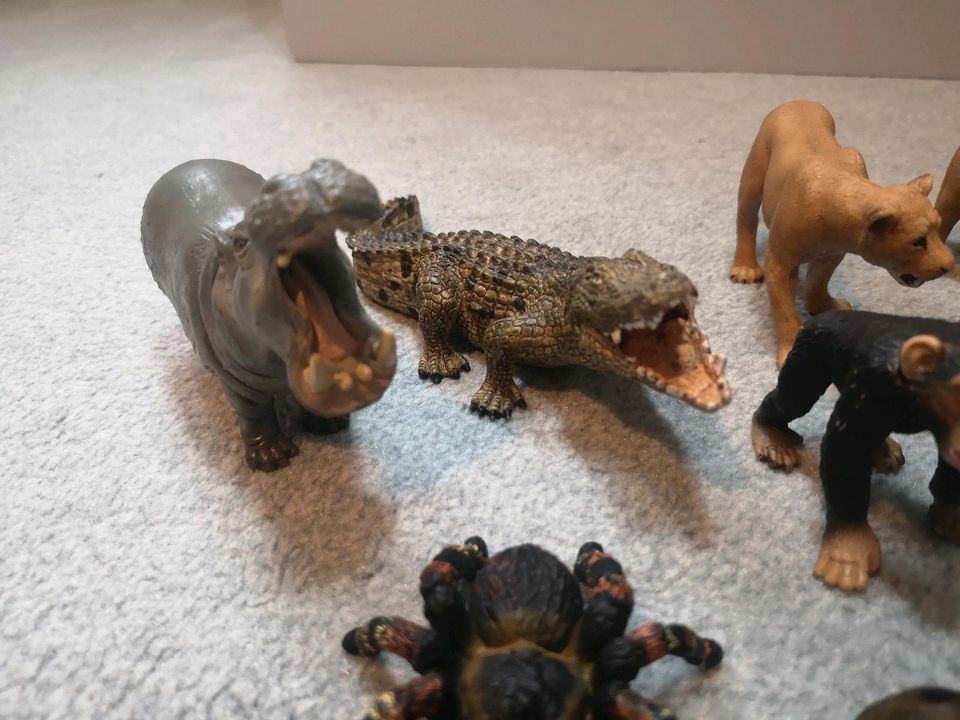 SCHLEICH wilde Tiere Löwe Tiger Krokodil Nilpferd Elefant Zebra in Barmstedt