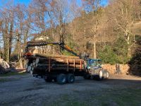 Brennholz Transport Baden-Württemberg - Bühlertal Vorschau