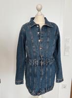 Denim Kleid Zara Gr. L blau Jeanskleid Hessen - Sulzbach Vorschau