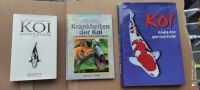 KOI KOI KOI - 3 Titel : KOI Entwicklung-Krankheiten-KOI der König Findorff - Findorff-Bürgerweide Vorschau