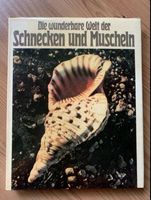 Die wunderbare Welt der Schnecken und Muscheln ( Buch) Niedersachsen - Freden Vorschau
