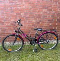 Triumph Fahrrad Damen/Mädchen 24 Zoll pink Niedersachsen - Ronnenberg Vorschau