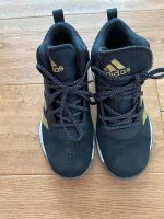 Basketball Schuhe Adidas Rheinland-Pfalz - Trierweiler Vorschau