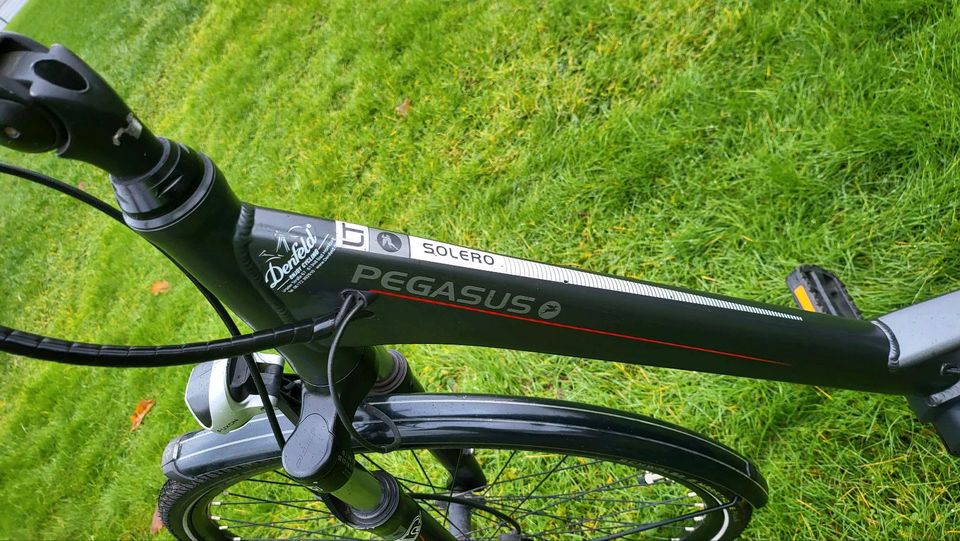 Pegasus Tiefeinsteiger ebike e bike bosch Performance 500wh 50cm in Hohenahr