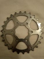 Campagnolo Ritzel 26t 8-fach Leipzig - Leipzig, Südvorstadt Vorschau