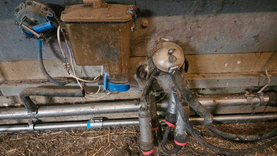 Melkanlage Lemmer fullwood 10er Fischgräten Melkstand in Kelheim