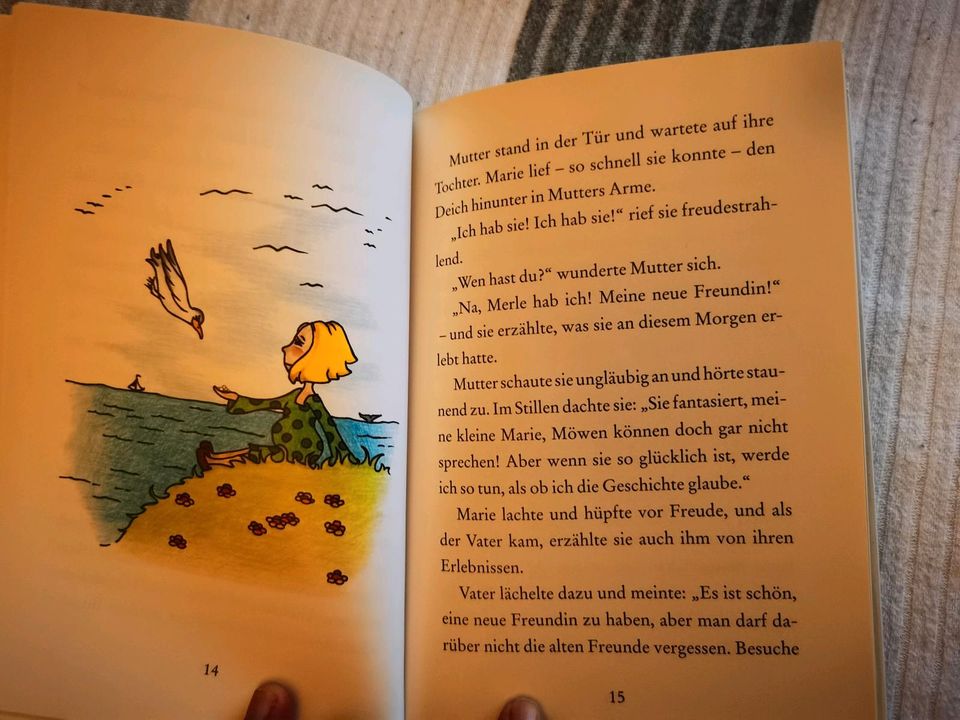 Kinderbuch Abenteuer am Nirdseestrand in Dänischenhagen