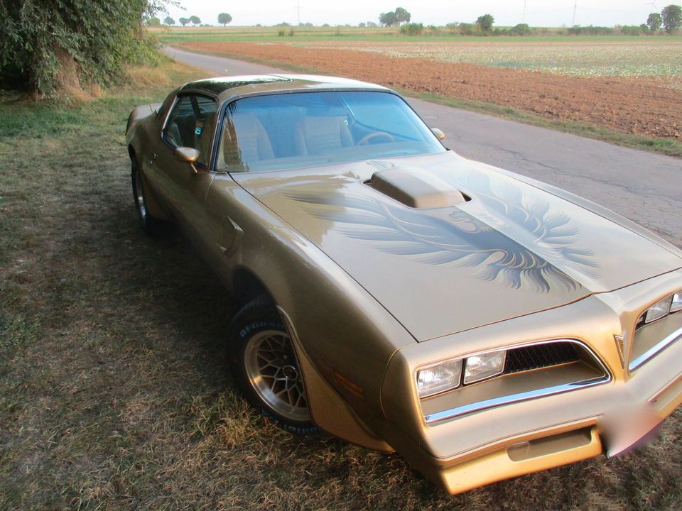 Pontiac Trans Am Special Edition im „Bandit-Style“. in Meckenheim