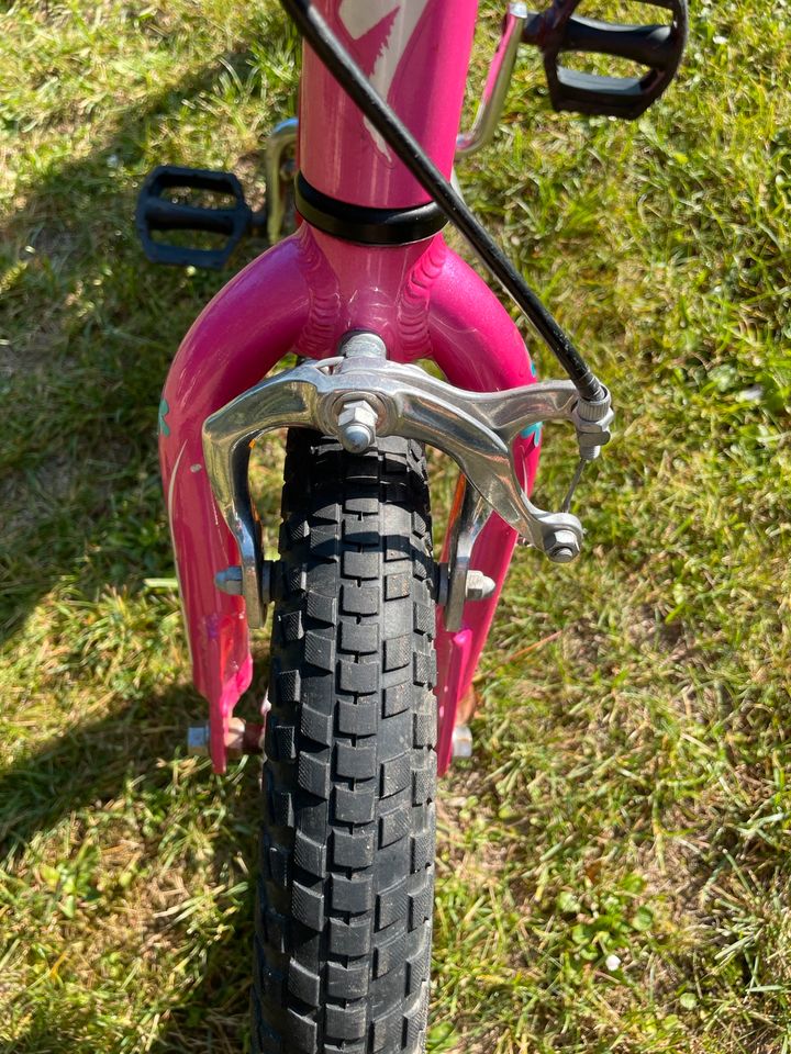 Specialized Hotrock 16 Zoll Kinderfahrrad BMX rosa pink in Euskirchen