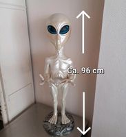 ⚠️ Alien  Figur Dekoration Sammeln ⚠️ Brandenburg - Rheinsberg Vorschau