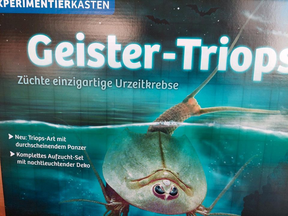 Kosmos Experimentierkasten Geister-Triops Urzeitkrebse in Dülmen