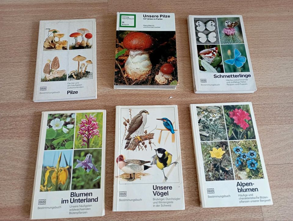 Bestimmungsbuch Pilze Vögel Blumen Schmetterlinge Konvolut in Minden