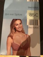 Gr 85 C Soft BH mit Spitze altrosa NEU Nordrhein-Westfalen - Mülheim (Ruhr) Vorschau