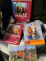 Pferdekunde, Pferde verstehen, Fit  mit Pferd Niedersachsen - Schwanewede Vorschau