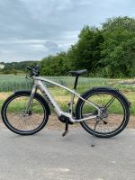 TREK allant+ 8 E-Bike Pedelec Sachsen - Ebersbach/Sachsen Vorschau