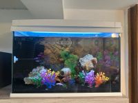 Tetra Aquarium 60l Hessen - Haiger Vorschau